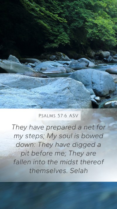Psalms 57:6 ASV Bible Verse Image