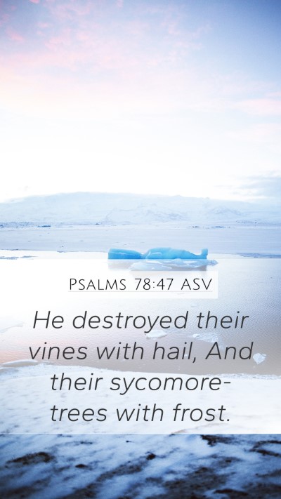 Psalms 78:47 ASV Bible Verse Image