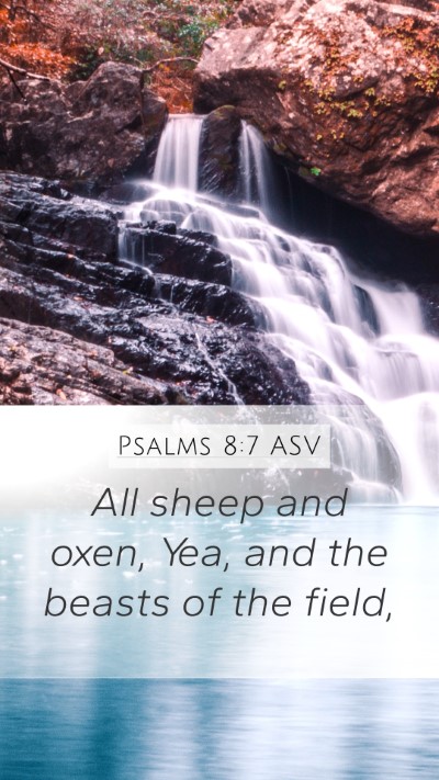 Psalms 8:7 ASV Mobile Phone Wallpaper - All sheep and oxen, Yea, and the beasts of the - Mobile Bible Verse Wallpaper