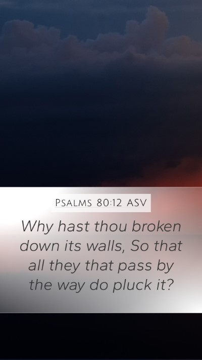 Psalms 80:12 ASV Bible Verse Image