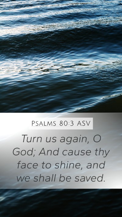 Psalms 80:3 ASV Bible Verse Image
