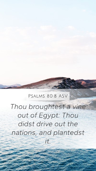 Psalms 80:8 ASV Bible Verse Image
