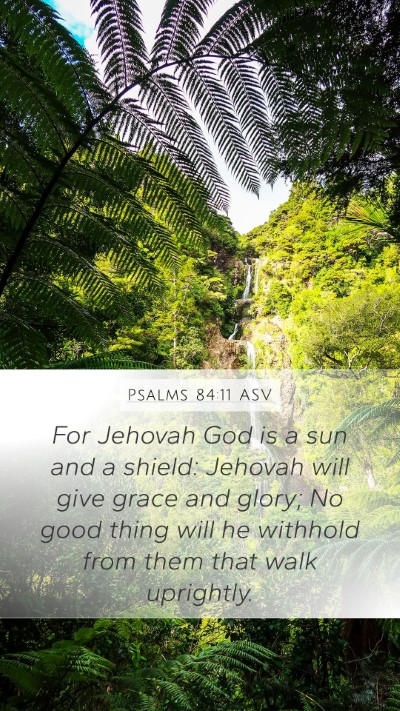 Psalms 84:11 ASV Bible Verse Image