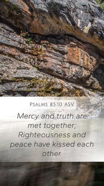 Psalms 85:10 ASV Bible Verse Image