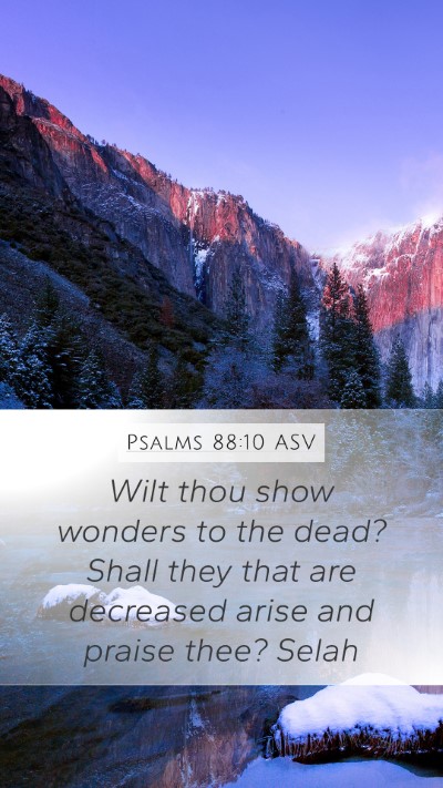 Psalms 88:10 ASV Bible Verse Image