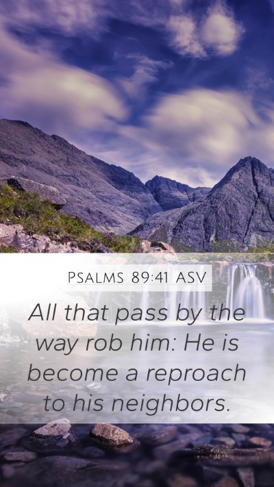 Psalms 89:41 ASV Bible Verse Image