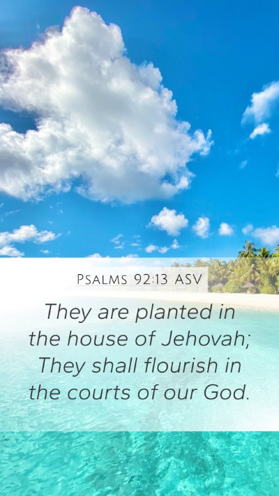 Psalms 92:13 ASV Bible Verse Image