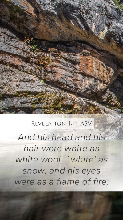 Revelation 1:14 ASV Bible Verse Image