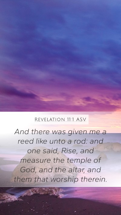 Revelation 11:1 ASV Bible Verse Image