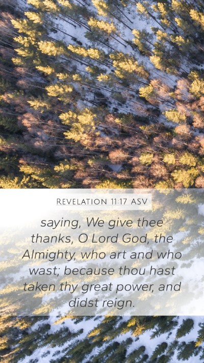 Revelation 11:17 ASV Bible Verse Image
