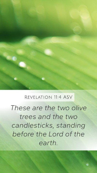 Revelation 11:4 ASV Bible Verse Image