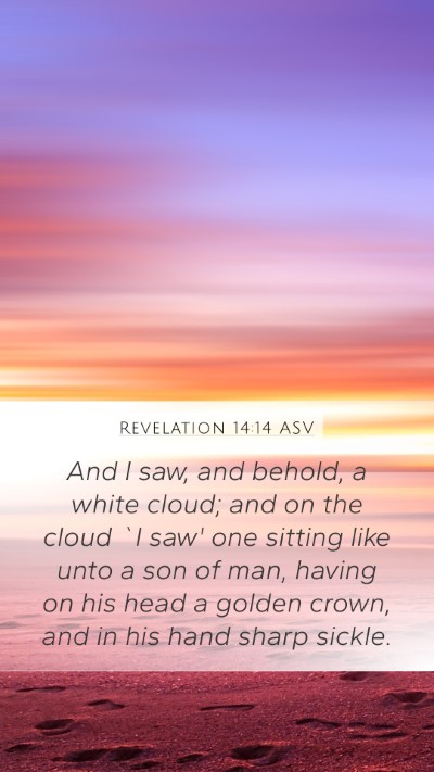 Revelation 14:14 ASV Bible Verse Image