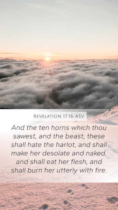 Revelation 17:16 ASV Bible Verse Image