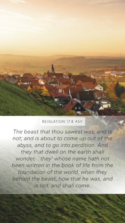 Revelation 17:8 ASV Bible Verse Image
