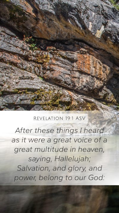 Revelation 19:1 ASV Bible Verse Image