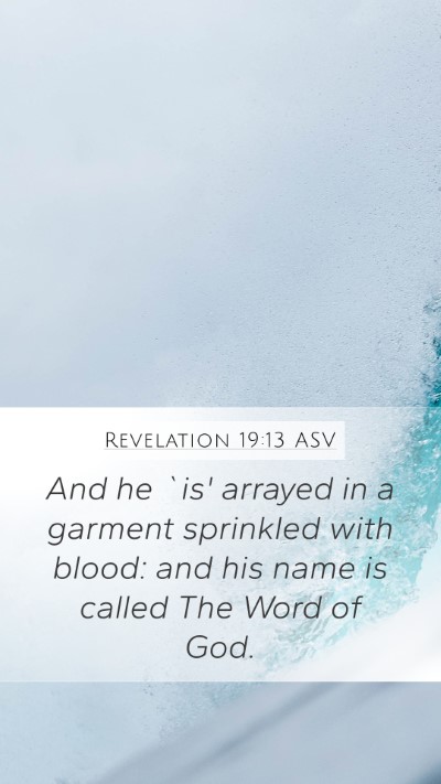 Revelation 19:13 ASV Bible Verse Image