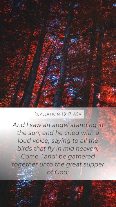 Revelation 19:17 ASV Bible Verse Image