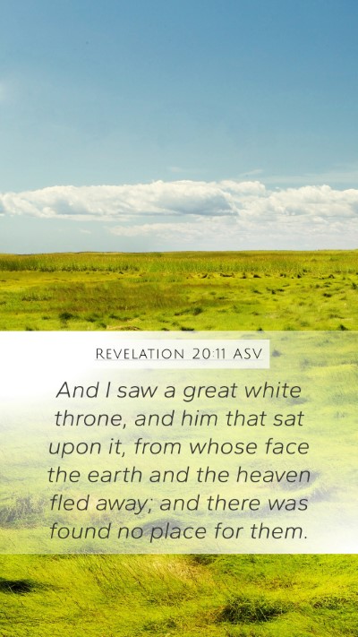 Revelation 20:11 ASV Bible Verse Image