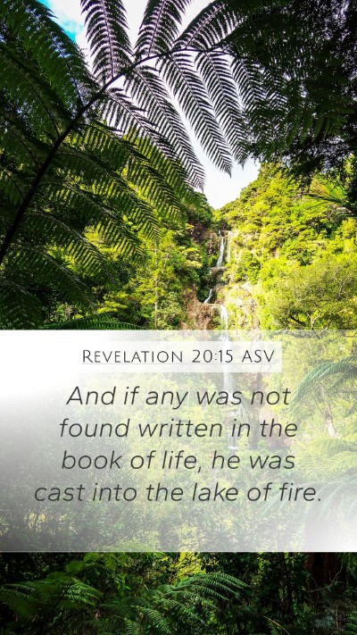 Revelation 20:15 ASV Bible Verse Image