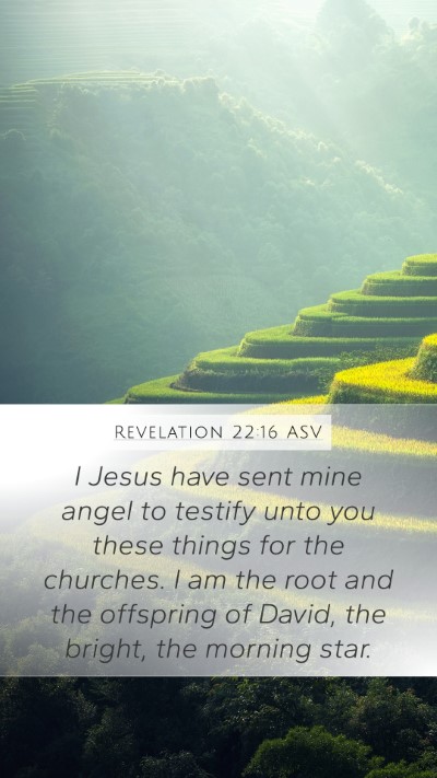 Revelation 22:16 ASV Bible Verse Image