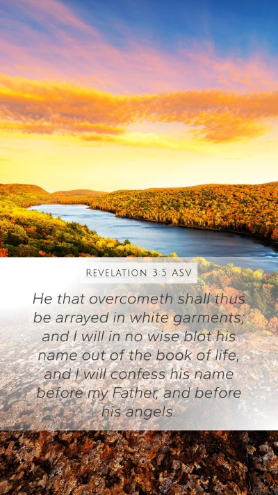 Revelation 3:5 ASV Bible Verse Image