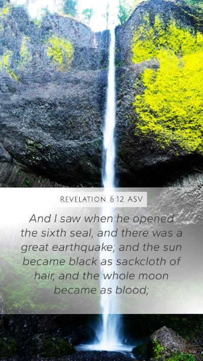 Revelation 6:12 ASV Bible Verse Image