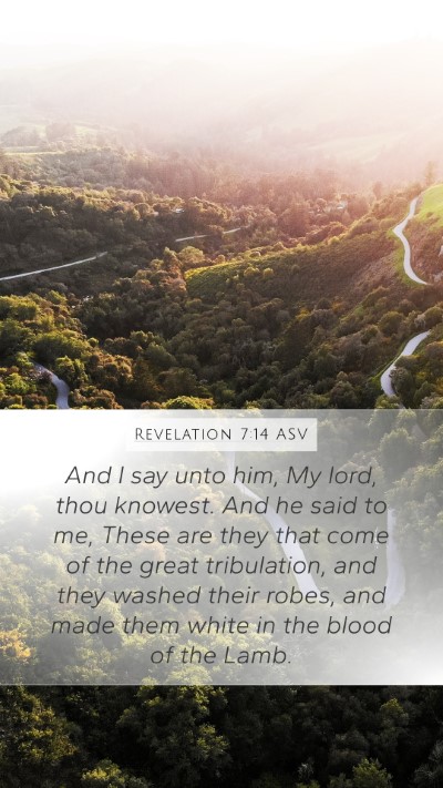 Revelation 7:14 ASV Bible Verse Image