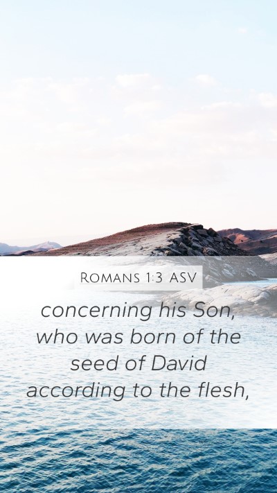 Romans 1:3 ASV Bible Verse Image