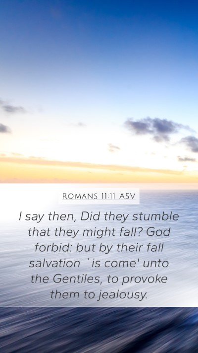 Romans 11:11 ASV Bible Verse Image