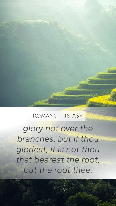 Romans 11:18 ASV Mobile Phone Wallpaper - glory not over the branches: but if thou - Mobile Bible Verse Wallpaper