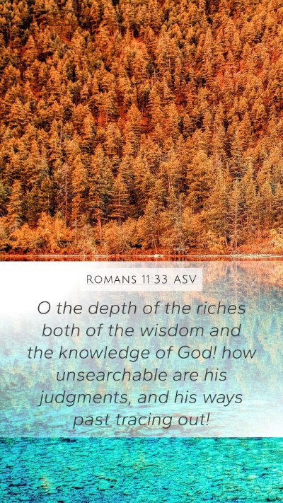 Romans 11:33 ASV Bible Verse Image