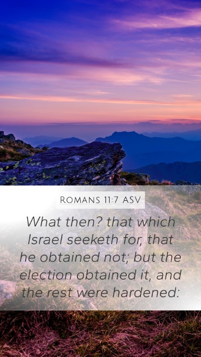 Romans 11:7 ASV Bible Verse Image