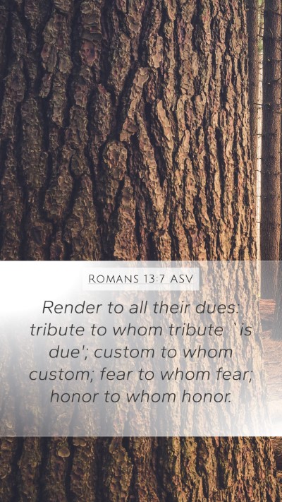Romans 13:7 ASV Bible Verse Image