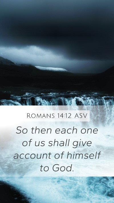 Romans 14:12 ASV Bible Verse Image