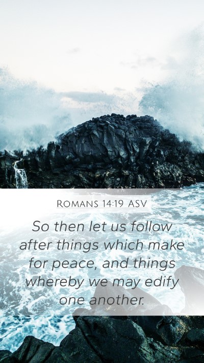 Romans 14:19 ASV Bible Verse Image