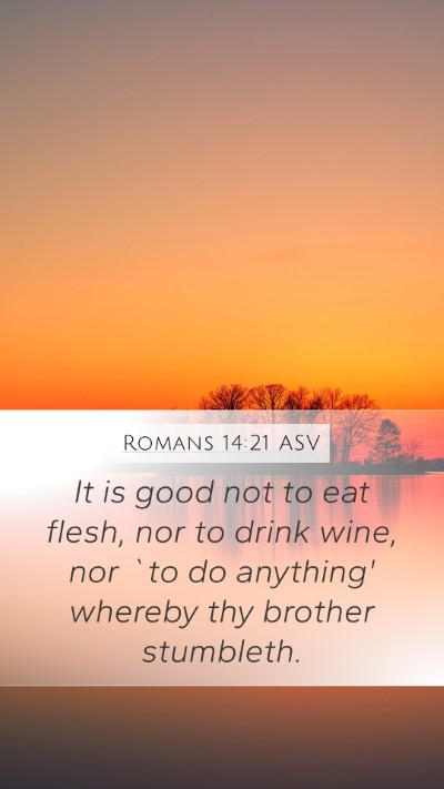 Romans 14:21 ASV Bible Verse Image
