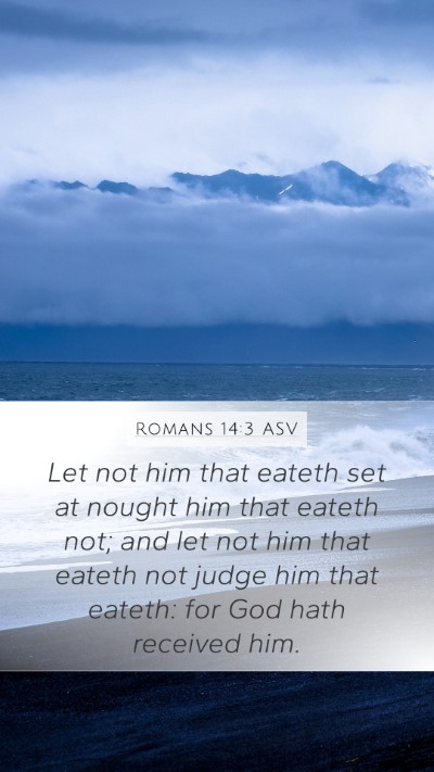 Romans 14:3 ASV Bible Verse Image