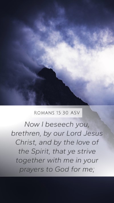 Romans 15:30 ASV Bible Verse Image