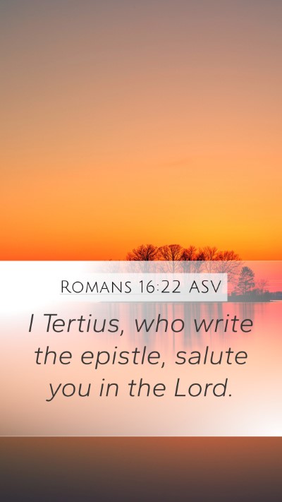 Romans 16:22 ASV Bible Verse Image