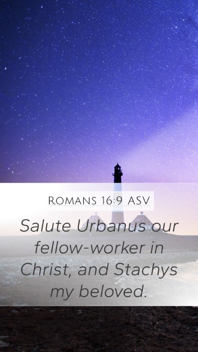 Romans 16:9 ASV Mobile Phone Wallpaper - Salute Urbanus our fellow-worker in Christ, and - Mobile Bible Verse Wallpaper
