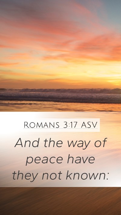 Romans 3:17 ASV Bible Verse Image