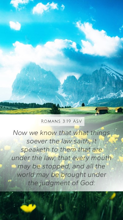 Romans 3:19 ASV Bible Verse Image