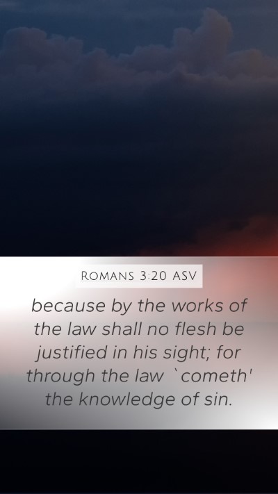 Romans 3:20 ASV Bible Verse Image