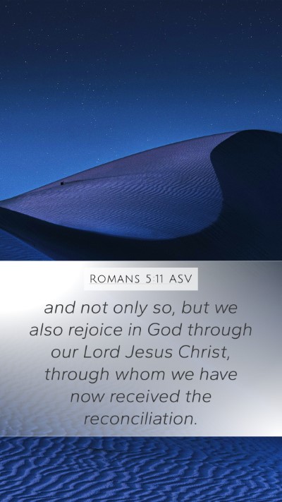 Romans 5:11 ASV Bible Verse Image