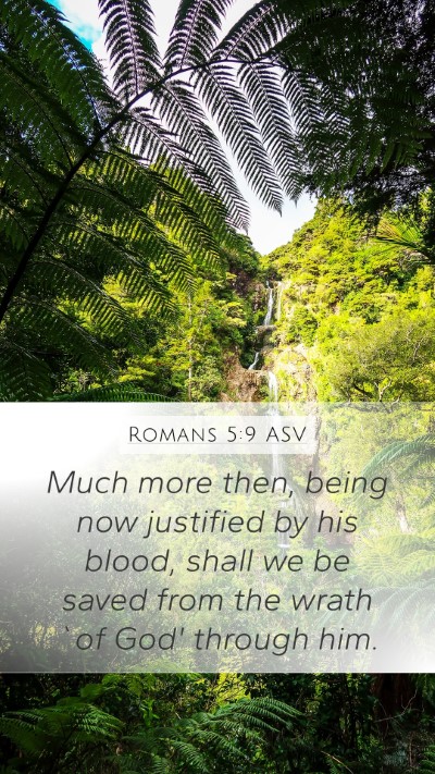 Romans 5:9 ASV Bible Verse Image