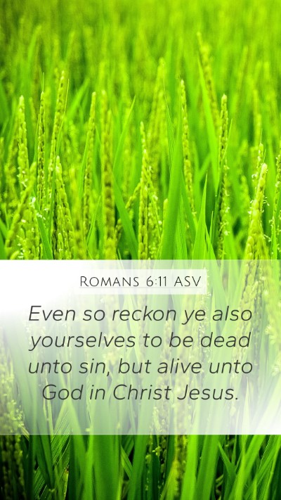 Romans 6:11 ASV Bible Verse Image