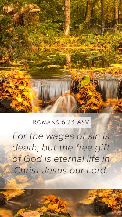 Romans 6:23 ASV Bible Verse Image