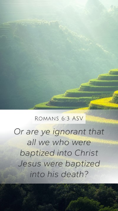 Romans 6:3 ASV Bible Verse Image