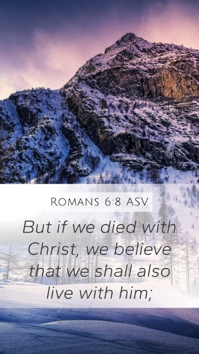 Romans 6:8 ASV Bible Verse Image