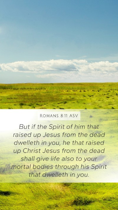 Romans 8:11 ASV Bible Verse Image